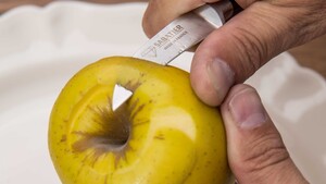 BEC D OISEAU FORGE CONSTANCE SABATIER Diamant